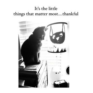 The Little Things - Little Tails by Hunter